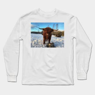 Scottish Highland Cattle Bull 1912 Long Sleeve T-Shirt